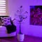 4ft. Pre-Lit Artificial Halloween Black Spooky Twig Tree with Bats and 120 Orange & Purple LED Lights